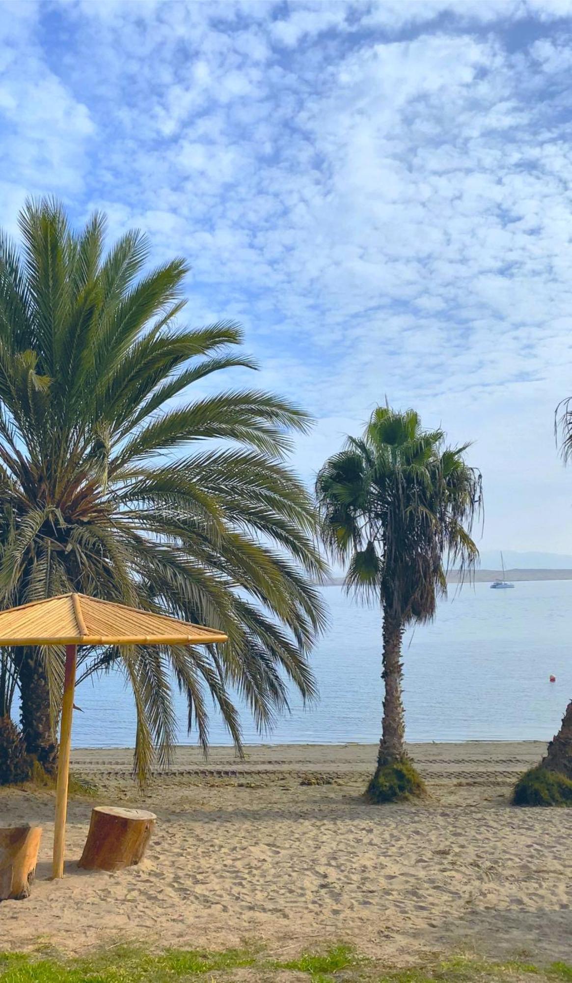 El Condor 3* Paracas
