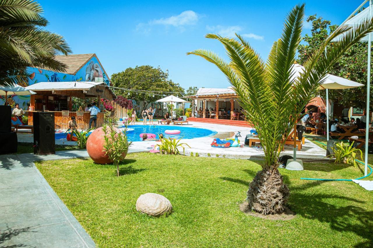 El Condor Paracas
